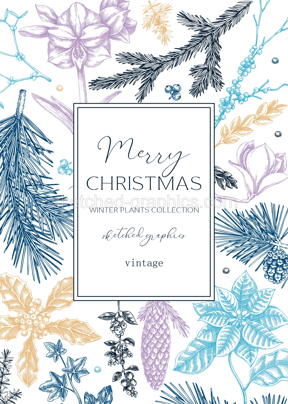 Merry Christmas card design in color. Winter wedding invitation template. Conifer trees, winter flowers sketches. Hand drawn floral illustration. NOT AI generated Illustration